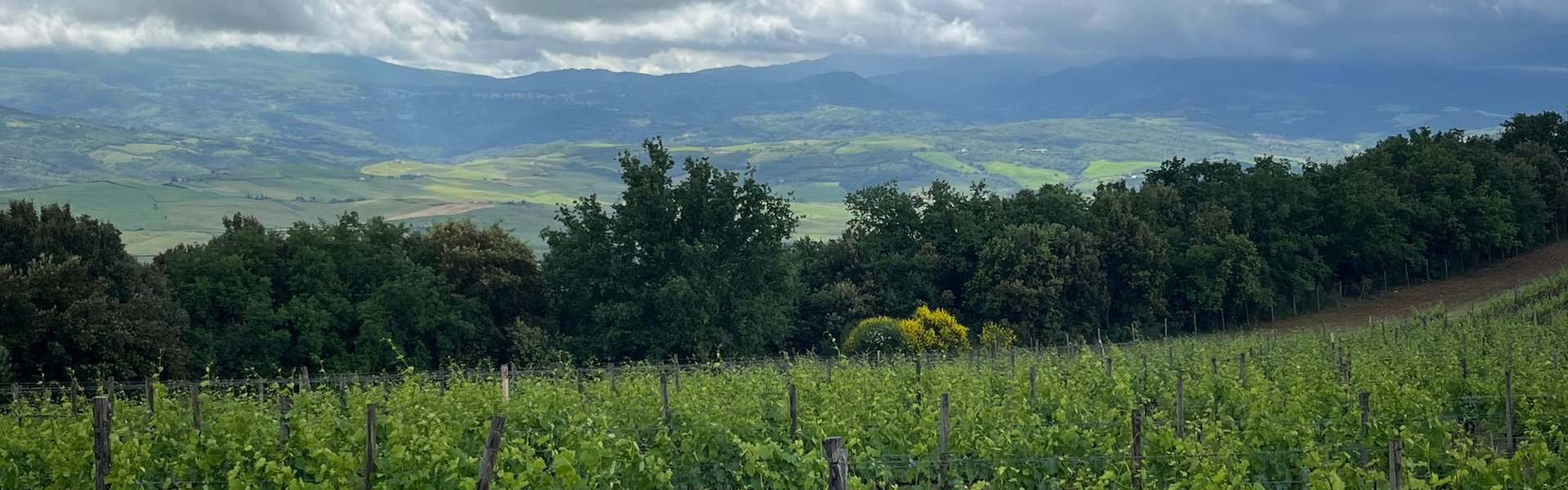 Panorama del Podere La Torre