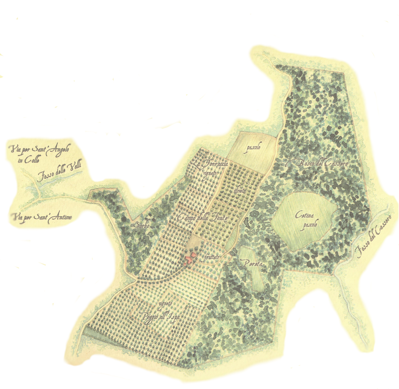 Watercolor of the La Torre Property